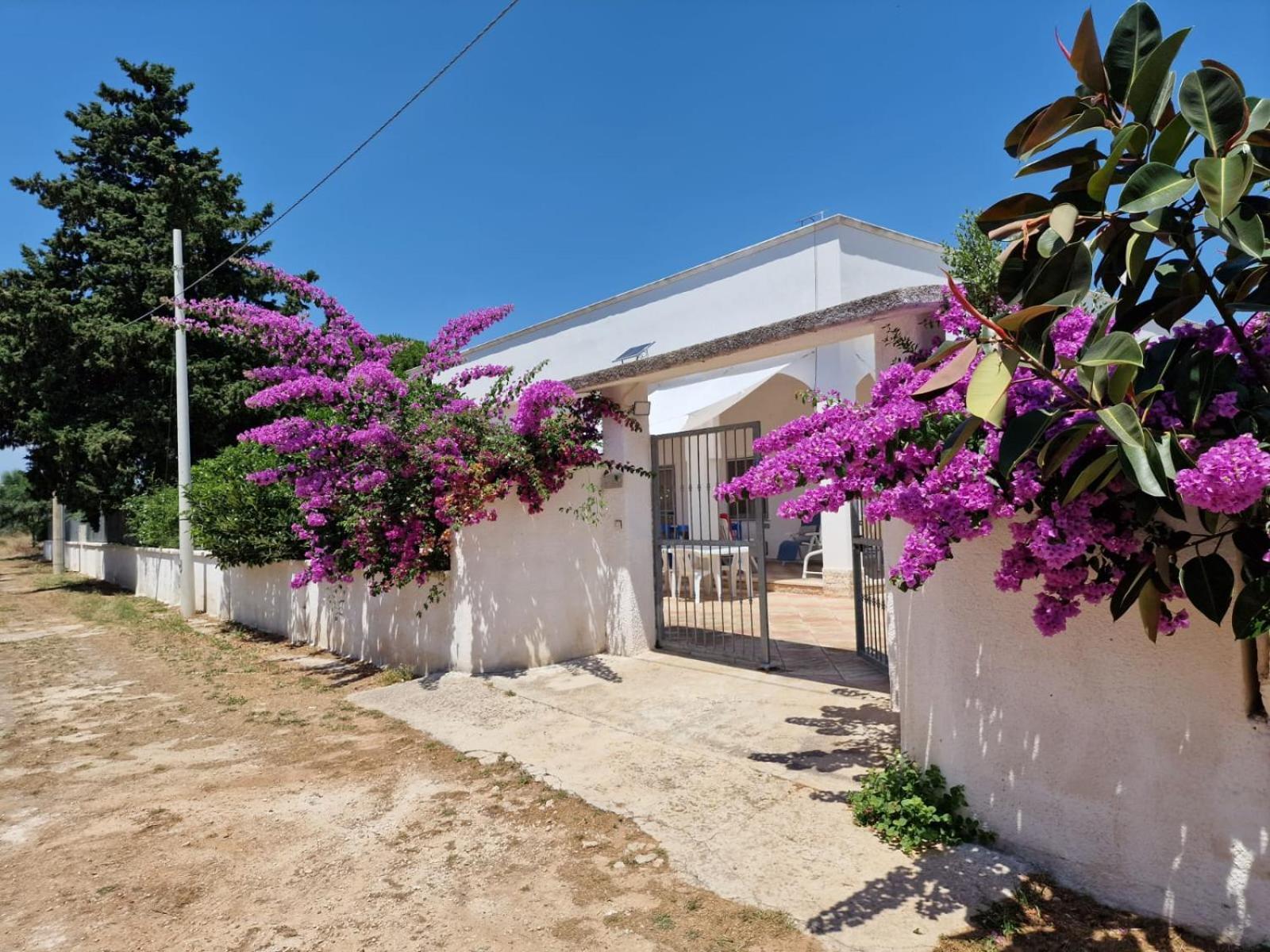 Villa Carmela A San Pietro In Bevagna Luaran gambar