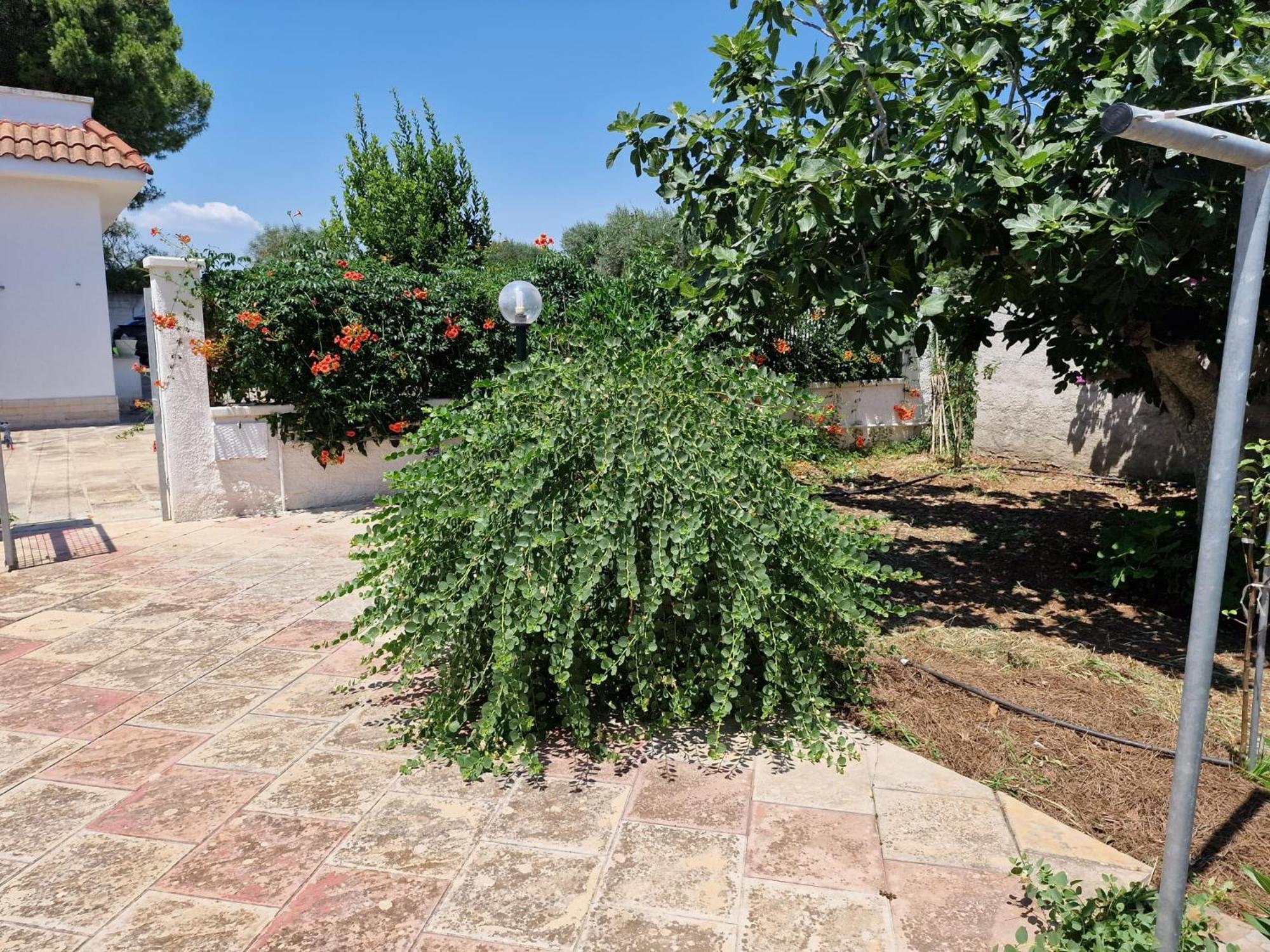 Villa Carmela A San Pietro In Bevagna Luaran gambar