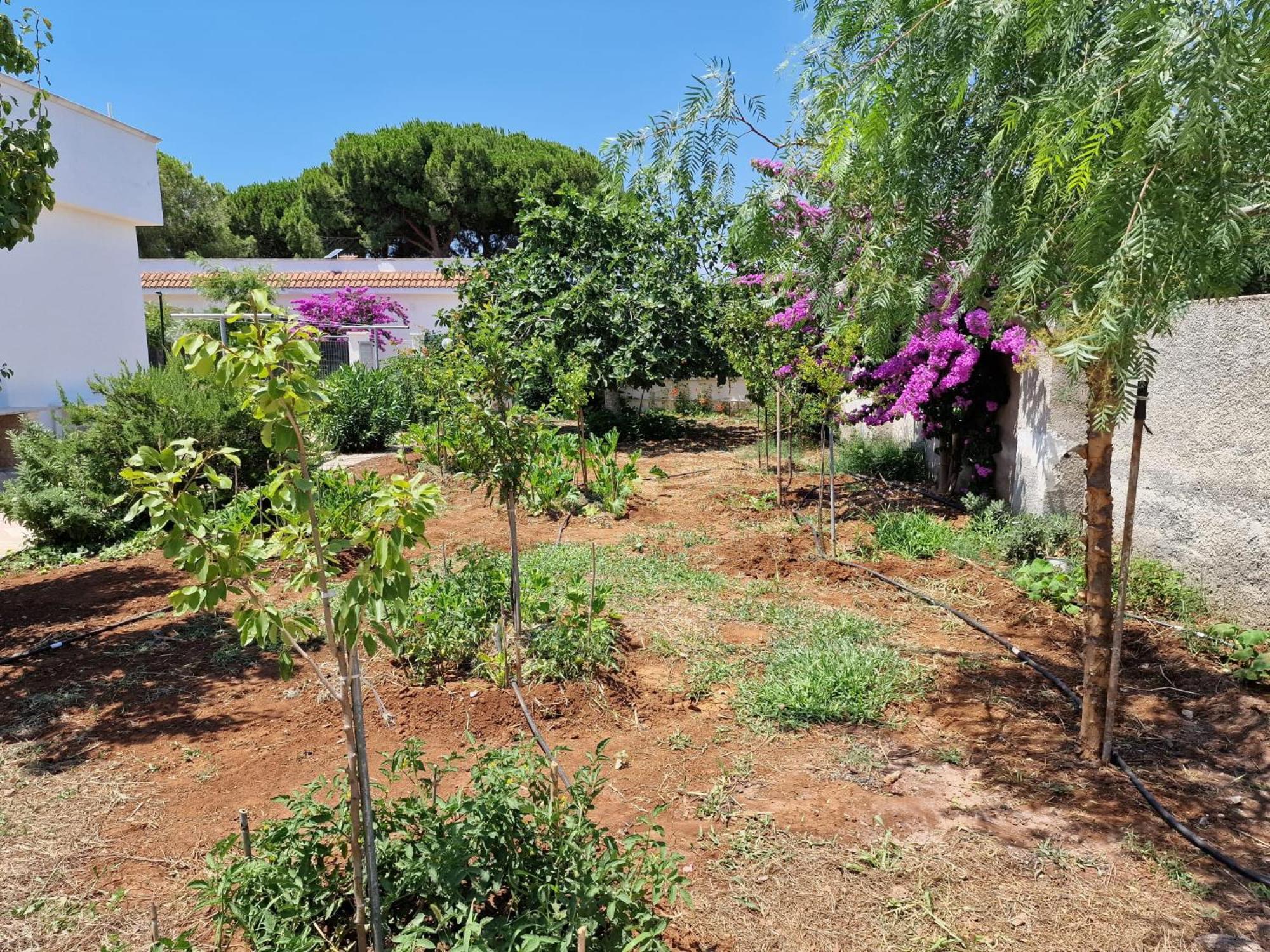 Villa Carmela A San Pietro In Bevagna Luaran gambar